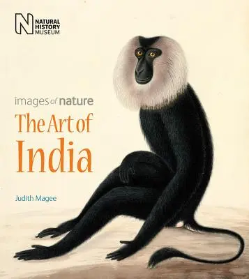 Arta Indiei - The Art of India