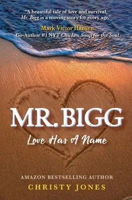 Mr. Bigg: Dragostea are un nume - Mr. Bigg: Love Has a Name