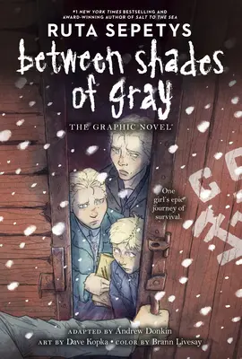 Între nuanțe de gri: romanul grafic - Between Shades of Gray: The Graphic Novel