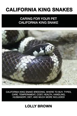 Șerpi rege din California: California King Snake reproducere, unde să cumpărați, tipuri, îngrijire, temperament, costuri, sănătate, manipulare, creștere, dietă și m - California King Snakes: California King Snake breeding, where to buy, types, care, temperament, cost, health, handling, husbandry, diet, and m
