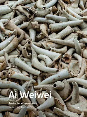 AI Weiwei: Resetarea amintirilor - AI Weiwei: Resetting Memories