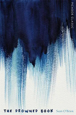 Cartea înecată - The Drowned Book