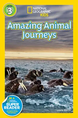 Marile migrații Călătorii uimitoare ale animalelor - Great Migrations Amazing Animal Journeys