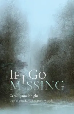 Dacă voi dispărea - If I Go Missing