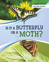 Este un fluture sau o molie? - Is It a Butterfly or a Moth?