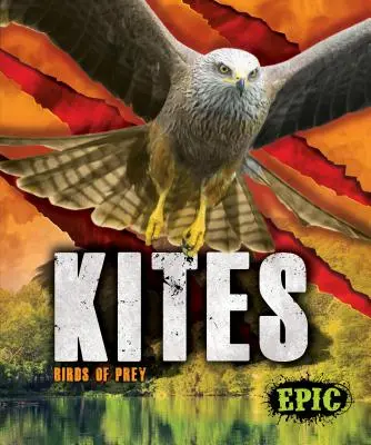 Zmeii: păsări de pradă - Kites: Birds of Prey