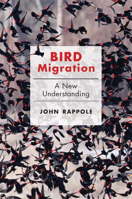 Migrația păsărilor: O nouă înțelegere - Bird Migration: A New Understanding