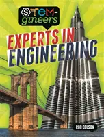 STEM-gineers: Experți în inginerie - STEM-gineers: Experts of Engineering