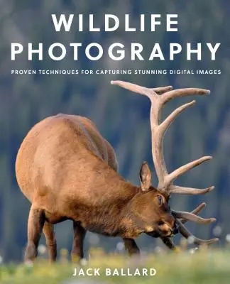 Fotografia vieții sălbatice: Tehnici dovedite pentru captarea unor imagini digitale uimitoare - Wildlife Photography: Proven Techniques for Capturing Stunning Digital Images
