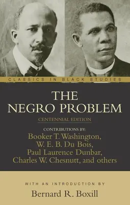 Problema negrilor - The Negro Problem