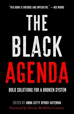 The Black Agenda: Soluții îndrăznețe pentru un sistem stricat - The Black Agenda: Bold Solutions for a Broken System