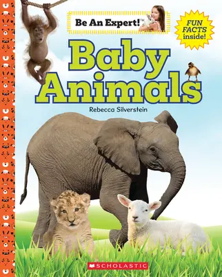 Bebeluși animale (Fii expert!) - Baby Animals (Be an Expert!)