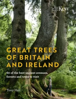 Great Trees of Britain and Ireland: 60 dintre cele mai bune alei, păduri și copaci antici de vizitat - Great Trees of Britain and Ireland: 60 of the Best Ancient Avenues, Forests and Trees to Visit