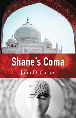 Coma lui Shane - Shane's Coma