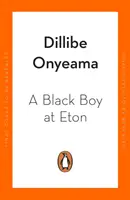 Băiat negru la Eton - Black Boy at Eton