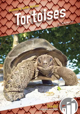 Țestoase - Tortoises
