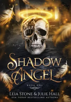 Îngerul din umbră: Prima carte - Shadow Angel: Book One