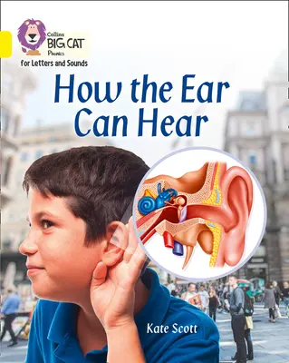 Cum poate auzi urechea - Band 03/galben - How the Ear Can Hear - Band 03/Yellow