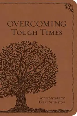 Depășirea vremurilor grele: Răspunsul lui Dumnezeu la orice situație - Overcoming Tough Times: God's Answer to Every Situation
