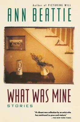 Ce a fost al meu: și alte povestiri - What Was Mine: & Other Stories