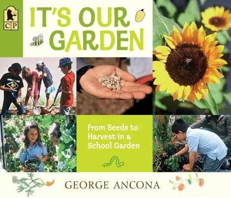 Este grădina noastră: De la semințe la recoltă într-o grădină școlară - It's Our Garden: From Seeds to Harvest in a School Garden