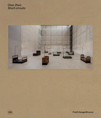 Chen Zhen: Circuite scurte - Chen Zhen: Short-Circuits