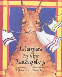 Llamas în spălătorie - Llamas in the Laundry