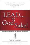 Plumb . . . pentru numele lui Dumnezeu! - Lead . . . for God's Sake!