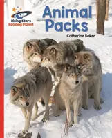 Reading Planet - Animal Packs - Roșu A: Galaxy - Reading Planet - Animal Packs - Red A: Galaxy