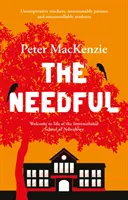 Needful - Un an într-o școală internațională din Africa - Needful - A year in an international school in Africa