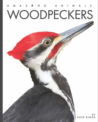 Ciocârlii - Woodpeckers