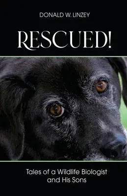 Salvat! Poveștile unui biolog al vieții sălbatice și ale fiilor săi - Rescued!: Tales of a Wildlife Biologist and His Sons