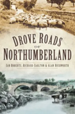 Drumurile din Northumberland (Drove Roads of Northumberland) - Drove Roads of Northumberland