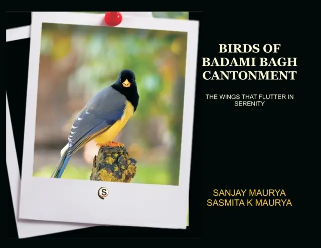 Păsările din cantonamentul Badami Bagh - Birds of Badami Bagh Cantonment