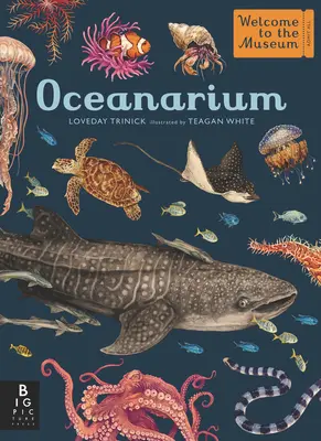 Oceanarium: Bine ați venit la muzeu - Oceanarium: Welcome to the Museum