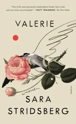 Valerie: Sau, Facultatea de Vise: Un roman - Valerie: Or, the Faculty of Dreams: A Novel