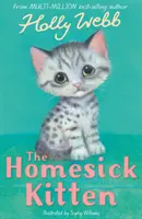 Pisoi cu dor de casă - Homesick Kitten