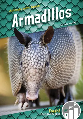 Armadillo - Armadillos