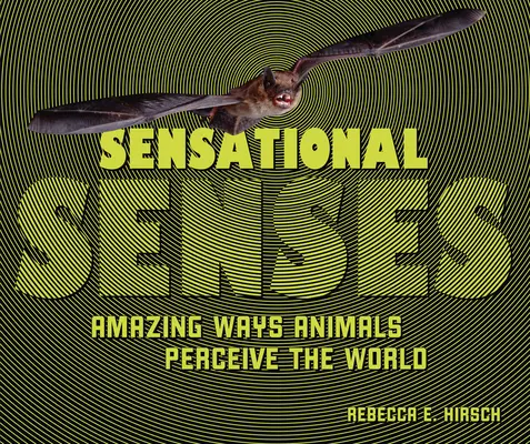 Simțuri senzaționale: Moduri uimitoare prin care animalele percep lumea - Sensational Senses: Amazing Ways Animals Perceive the World