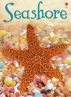 Coasta de mare - Seashore