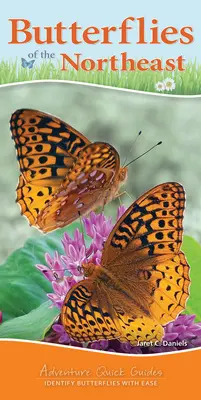 Fluturi din nord-est: Identificarea fluturilor cu ușurință - Butterflies of the Northeast: Identify Butterflies with Ease