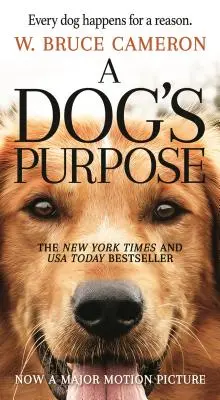 Scopul unui câine: Un roman pentru oameni - A Dog's Purpose: A Novel for Humans