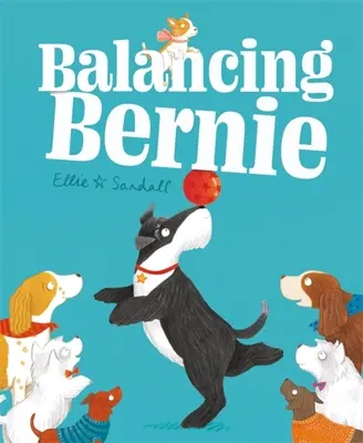 Echilibrul Bernie - Balancing Bernie