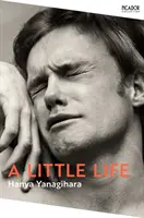 Mica viață - Little Life