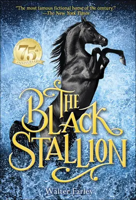 Armăsarul Negru - The Black Stallion