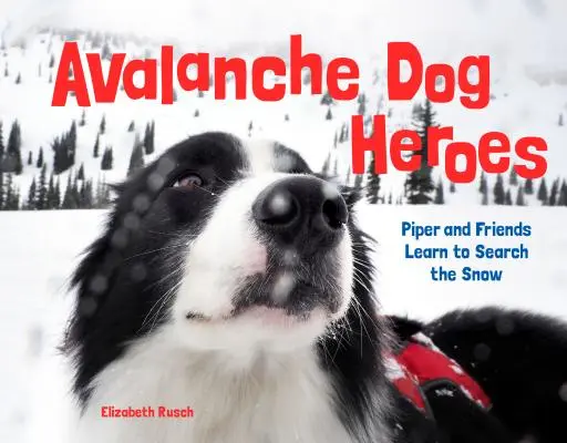 Câini eroi de avalanșă: Piper și prietenii săi învață să caute în zăpadă - Avalanche Dog Heroes: Piper and Friends Learn to Search the Snow