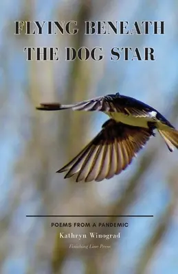 Flying Beneath the Dog Star: Poezii de la o pandemie - Flying Beneath the Dog Star: Poems from a Pandemic
