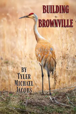 Construirea orașului Brownville - Building Brownville