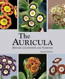 Auricula: istorie, cultivare și varietăți - Auricula: History, Cultivation and Varieties