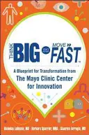 Think Big, Start Small, Move Fast: A Blueprint for Transformation from the Mayo Clinic Center for Innovation